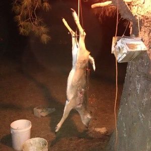 Meet your Posher, Danny